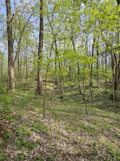 Harmonie State Park - New Harmony, IN