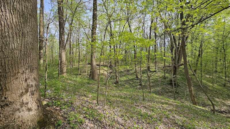 Harmonie State Park - New Harmony, IN