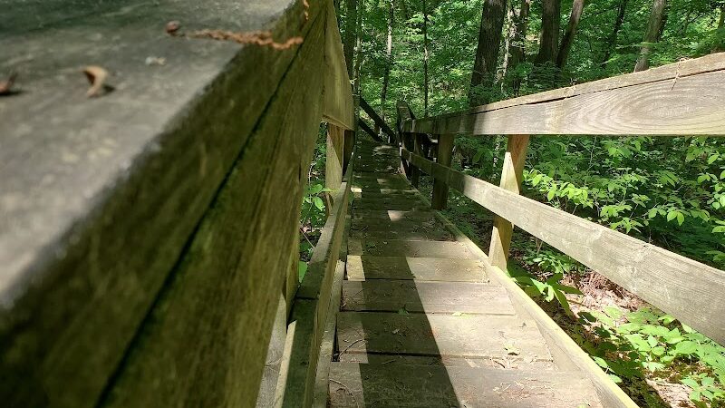 Harmonie State Park - New Harmony, IN