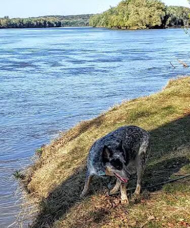 Harmonie State Park - New Harmony, IN