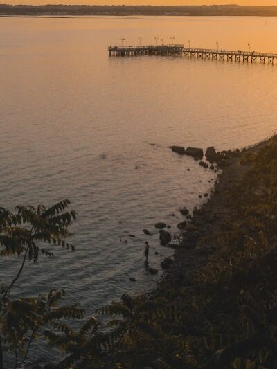 Fort Hale Dog Park - New Haven, CT