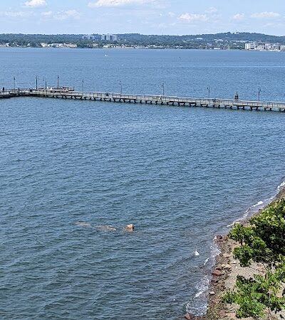 Fort Hale Dog Park - New Haven, CT