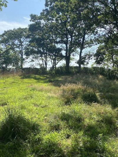 Fort Hale Dog Park - New Haven, CT