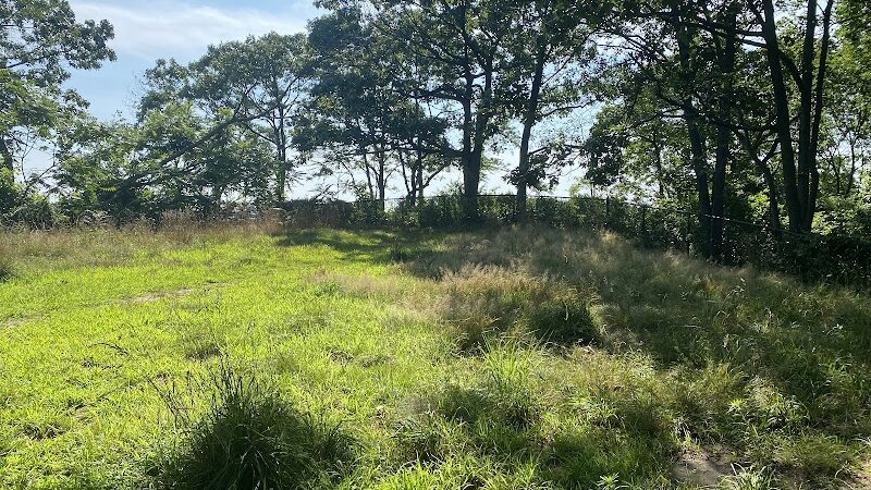 Fort Hale Dog Park - New Haven, CT