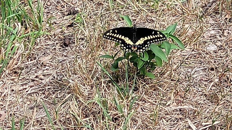 Fort Hale Dog Park - New Haven, CT