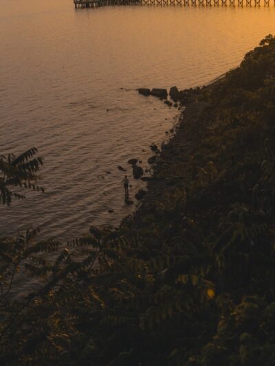 Fort Hale Dog Park - New Haven, CT