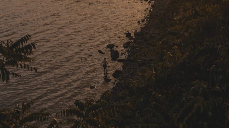 Fort Hale Dog Park - New Haven, CT