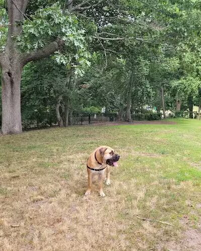 Fort Hale Dog Park - New Haven, CT