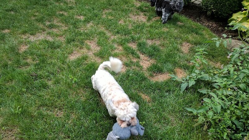 New Hyde Park Memorial Park - New Hyde Park, NY