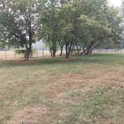 NL Jaycees Dog Park - New London, WI