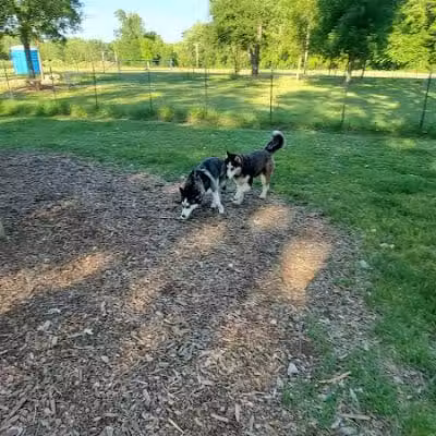 NL Jaycees Dog Park - New London, WI