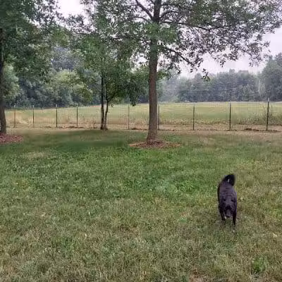 NL Jaycees Dog Park - New London, WI