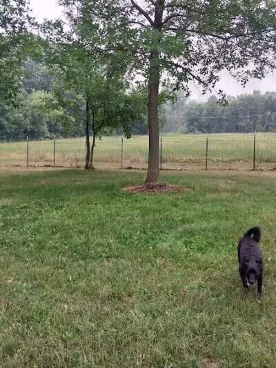 NL Jaycees Dog Park - New London, WI