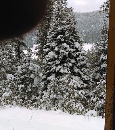 Meadows Valley Motel