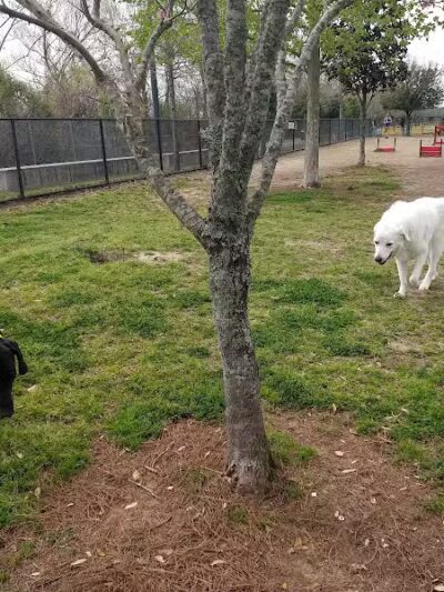 Crescent Bark - New Orleans, LA