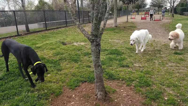 Crescent Bark - New Orleans, LA