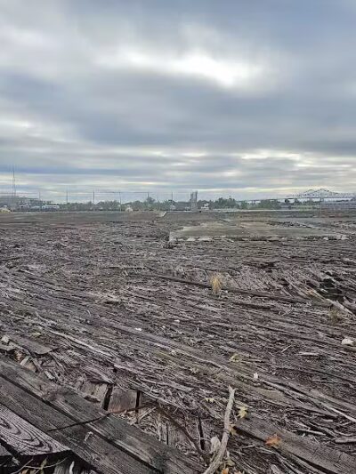 Crescent Bark - New Orleans, LA