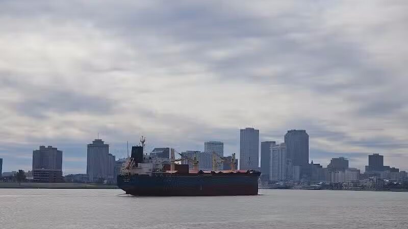Crescent Bark - New Orleans, LA