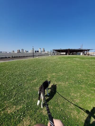 Crescent Bark - New Orleans, LA