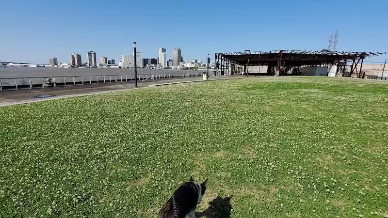 Crescent Bark - New Orleans, LA