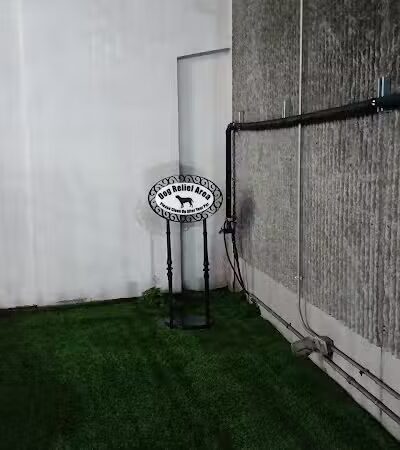 Dog Relief Area - New Orleans, LA