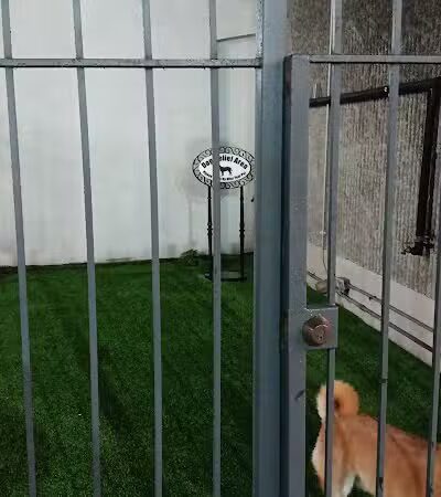 Dog Relief Area - New Orleans, LA