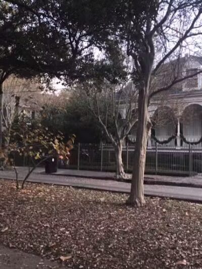 McDonough Zachery Park - New Orleans, LA