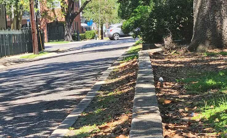 McDonough Zachery Park - New Orleans, LA