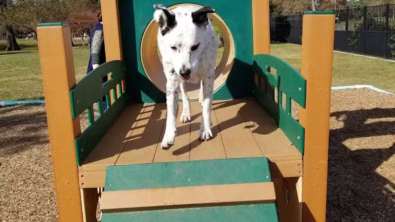 NOLA City Bark - New Orleans, LA