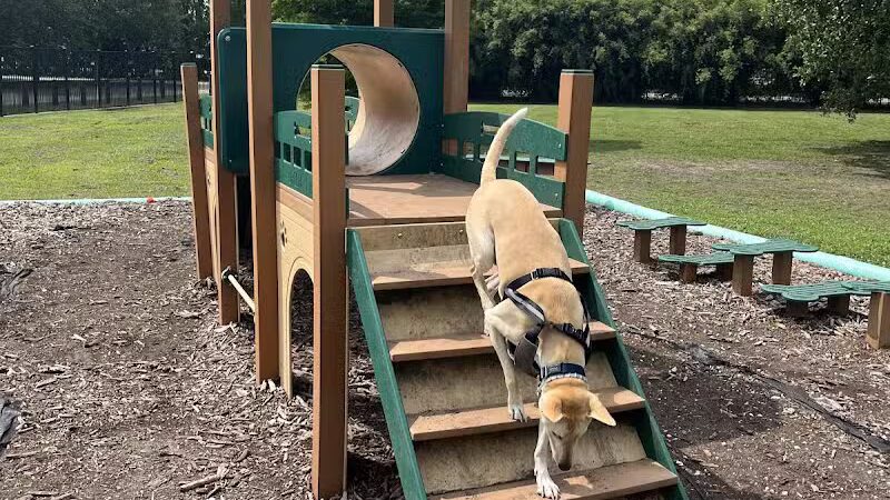 NOLA City Bark - New Orleans, LA