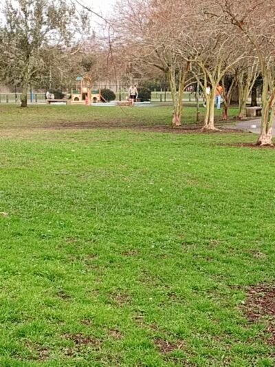 NOLA City Bark - New Orleans, LA