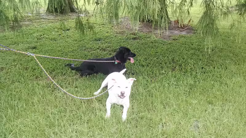 NOLA City Bark - New Orleans, LA