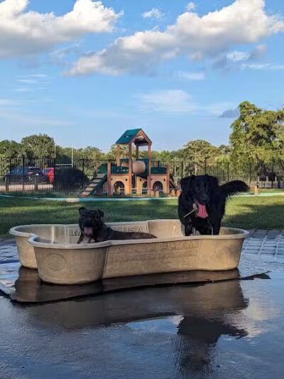 NOLA City Bark - New Orleans, LA