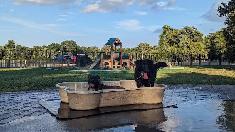 NOLA City Bark - New Orleans, LA
