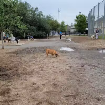 Wisner Dog Park - New Orleans, LA