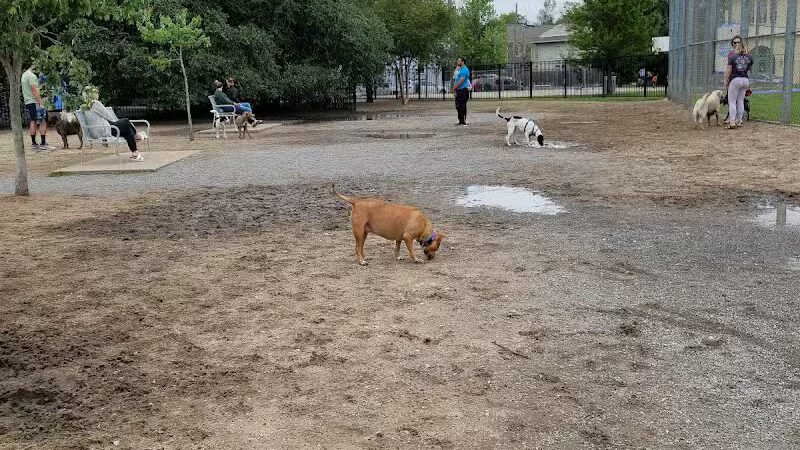 Wisner Dog Park - New Orleans, LA