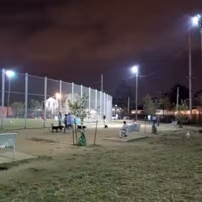 Wisner Dog Park - New Orleans, LA