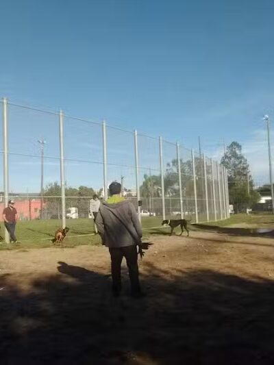 Wisner Dog Park - New Orleans, LA