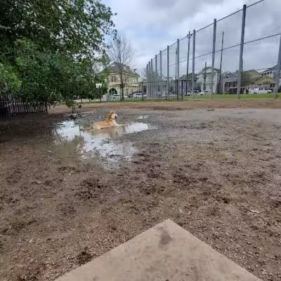 Wisner Dog Park - New Orleans, LA