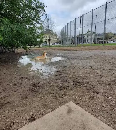 Wisner Dog Park - New Orleans, LA