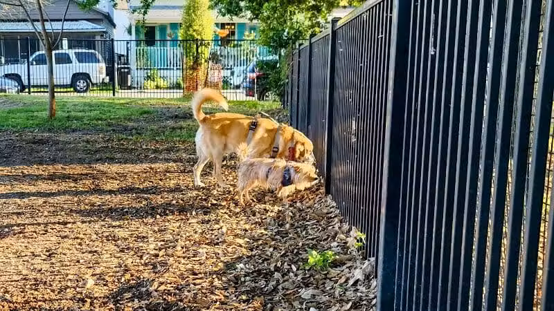Wisner Dog Park - New Orleans, LA