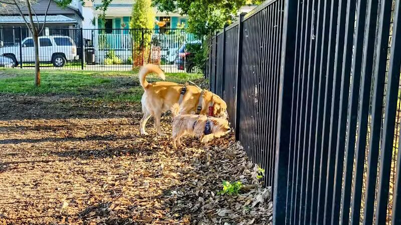 Wisner Dog Park - New Orleans, LA