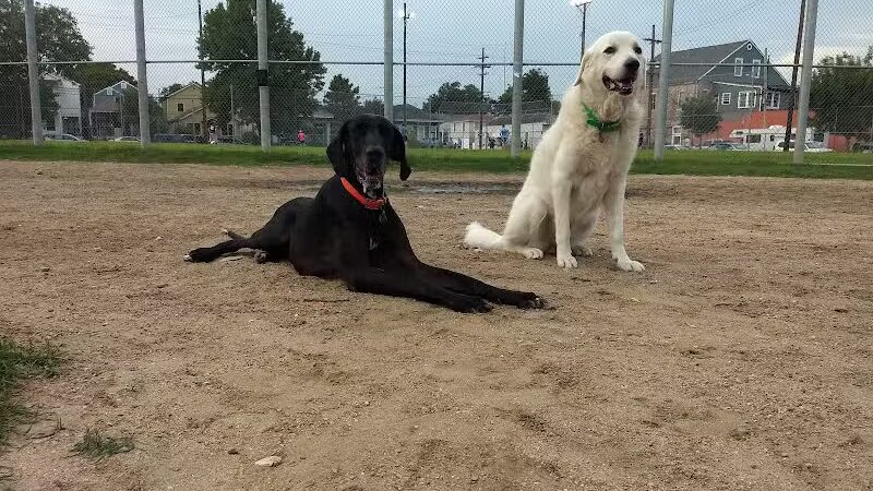 Wisner Dog Park - New Orleans, LA
