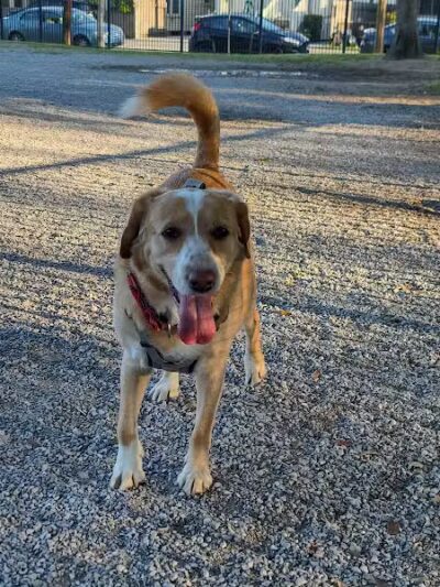 Wisner Playground - New Orleans, LA