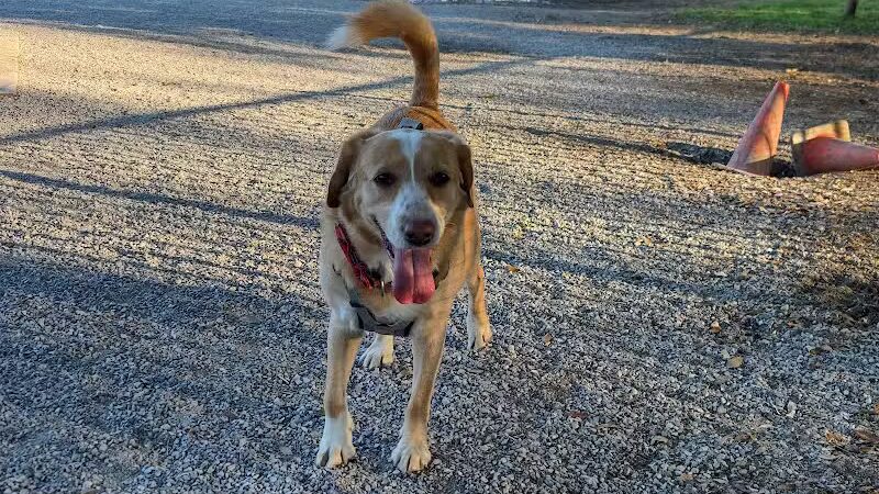 Wisner Playground - New Orleans, LA