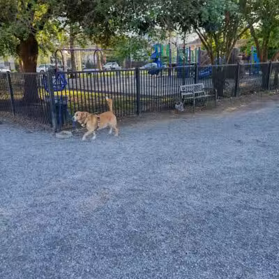 Wisner Playground - New Orleans, LA