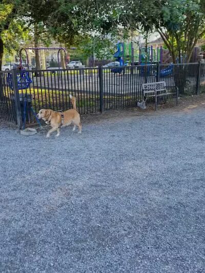 Wisner Playground - New Orleans, LA