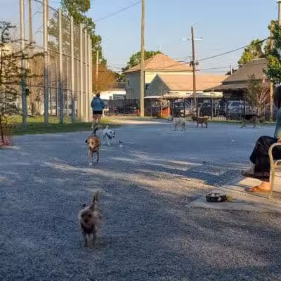 Wisner Playground - New Orleans, LA