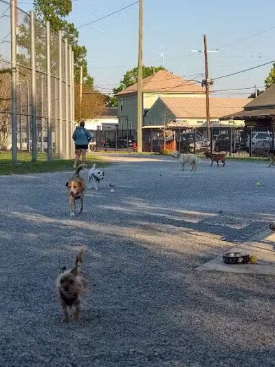 Wisner Playground - New Orleans, LA