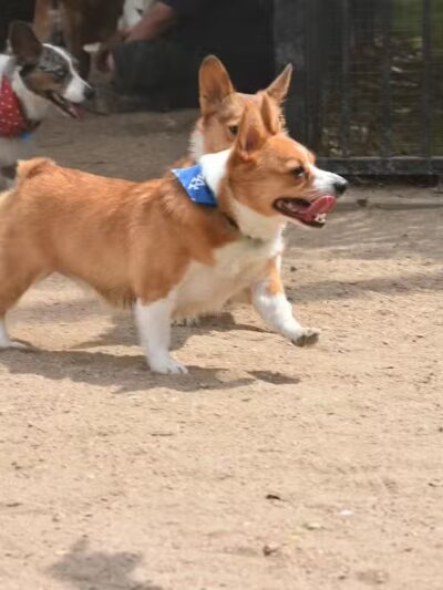 Wisner Playground - New Orleans, LA